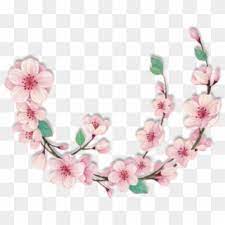 Pink and white flower border png. Pink Border Png Transparent For Free Download Pngfind