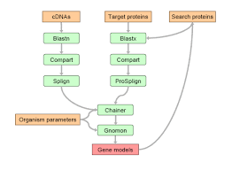 Gnomon The Ncbi Eukaryotic Gene Prediction Tool