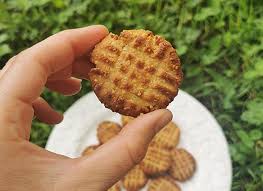 Biscuits Au Beurre De Cacahuete Sans Sucre Ajoute Recette Ptitchef Recette Beurre De Cacahuete Cookies Beurre De Cacahuete Biscuits Au Beurre De Cacahuete