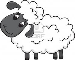 cartoon sheep vector illustration sheep cartoon sheep vector sheep drawing