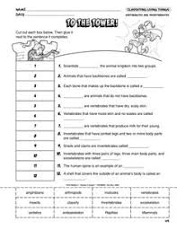 To The Tower Lesson Plans The Mailbox Worksheets For Kids Physical Education Lesson Plans Science Worksheets