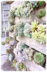 How to make a pallet succulent garden. World S Best 111 Pallet Garden Ideas To Collect Homesthetics Inspiring Ideas For Your Home Succulent Wall Garden Vertical Succulent Gardens Pallet Projects Garden