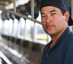 Making milking fun again