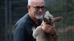 They've even got electroreceptors (the most. For The Love Of Roos Abc News Australian Broadcasting Corporation