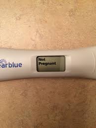 What Does The Inside Of A Clearblue Digital Test Look Like Wehavekids