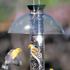 Check spelling or type a new query. Bird Feeder Weather Domes Weather Protection For Hanging Bird Feeders Bird Feeder Weather Rain Domes At Fiddle Creek Farms