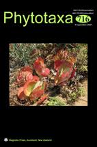 Image result for Chlorophytum macrosporum