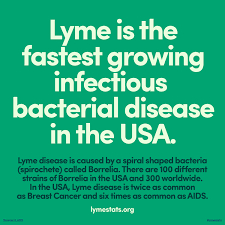 Lyme Stats