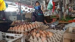We did not find results for: Harga Telur Di Lampung Selatan Masih Menguntungkan Bagi Peternak Ayam Petelur Tribun Lampung