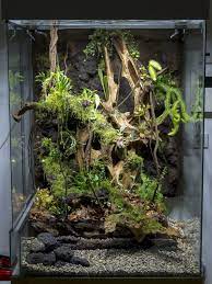 Living Room Display Tank Pics As I Go Reptile Habitat Reptile Terrarium Gecko Vivarium
