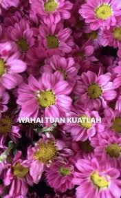  Silvi Khaerunisa Silvianggia Profile Pinterest