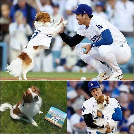 Shohei Ohtani's Daughter and Family Dog Melt Hearts Online — Fans Declare Them the Cutest “Brother and Sister” Duo While the world knows Shohei Ohtani for his towering home runs, blazing fastballs,