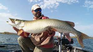 Lee travels the length and breadth of australia, visiting some of the country's most remote and beautiful places. Lindner S Fishing Edge Episode Guide