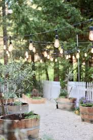 First Look New Greenhouse Garden French Country Cottage Greenhouse Gardening Potted Olive Tree French Country Cottage
