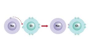 Describe how ionic bonds are formed. Ionic Bond Examples Biology Dictionary