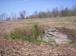 Image result for Lorenda Green 1929 Dodge