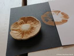 Image result for Clitopilus prunulus