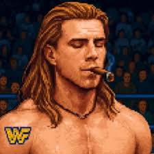 No this is actually awesome wrestling.