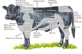 Cele mai cumparate cele mai noi discount rating pret (crescator) pret (descrescator) recomandate. Vita Si Vitel Prind Gust