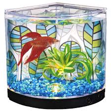 Shop for disney aquarium decorations in fish tank & aquarium decoration & accessories. Aquariums Habitats Meijer Grocery Pharmacy Home More