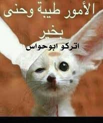 ابوحواس traola twitterren