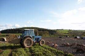 Check spelling or type a new query. How To Obtain Grant Money To Start A Farm