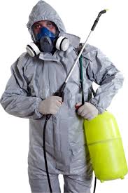 Pest management strategy defers the control of live insects as well as hiding insects. Rodent Control London Rodent Removal Prevention Flo Pest Environmental Services