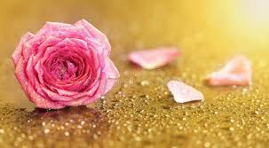 Background bunga vector pink 4 background check all. 178 765 Flower Gold Photos Free Royalty Free Stock Photos From Dreamstime