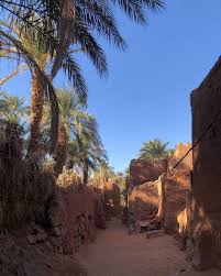 V I E W Descendreenalgerie Alger Algerie Voyage Travel Roadtrip Visiterlagerie Dz Landscape Northa Natural Landmarks Instagram Grand Canyon