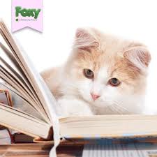 Yeni Egitim Ogretim Yilinda Tum Ogrencilere Ve Ogretmenlere Basarilar Dileriz Friendship Petsagram Petoftheday Petphoto Instap Cat Food Animals Cats