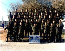 Image result for Light Sandstone 1986 Fleet