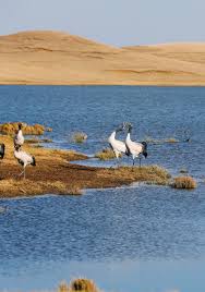 2026 九寨溝草原推薦| 3月| Trip Moments