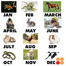 Birth Month Birth Animal Month Animals Birth Month