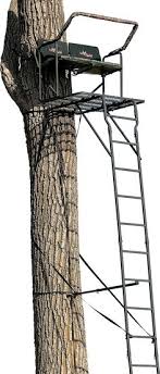 Utforska kvalitetsbilder på underhållning, bilder från toppfotografer i hela världen. 16 Big Game Treestands Ideas Big Game Big Ladder Stands