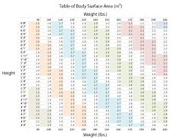 Body Surface Area Chart With Photos