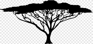 How to make a tree of life silhouette? African Trees Silhouette Drawing Tree Silhouette Leaf Branch Png Pngegg