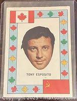 1970-71 O-Pee-Chee #105 Bruce Gamble Toronto Maple Leafs Hockey Card