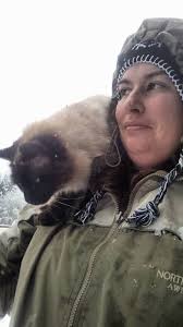 Mulder The Ragdoll & friends