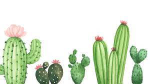 New users enjoy 60% off. Cactus Wallpaper For Computer Watercolor Desktop Wallpaper Plant Wallpaper Pastel Background