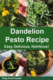 Spring Greens Dandelion Pesto So Easy So Delicious So Healthy So Inexpensive The Perfect Survival Food All Posts Healing Harvest Homestead Dandelion Recipes Green Pesto Dandelion Pesto Recipe