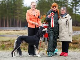 Tulokset – Savo-Karjalan Vinttikoiraharrastajat ry