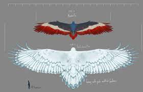 Que la mer est sombre au pied des rocs sinistres ! April Prime On Twitter The Dark Markings Around Auril S Roc S Face Are A Adorably In The Shape Of A Heart If You Look At Her Front On And B They Help Stop