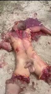 Cartel porno - LiveGore.com