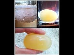 You can glue toothpicks in layers around the egg then make a container for the egg to go in.also, you can put super glue around the egg.i think if you did this your. How To Drop A Raw Egg Onto A Concrete Floor Without Cracking The Egg Quora