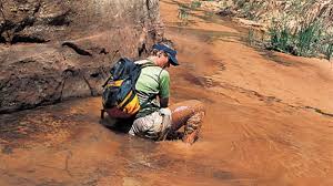 Image result for quicksand