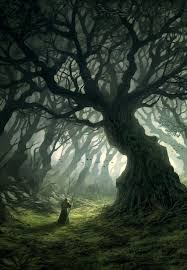 If you spend a lot of time searching for a decent movie, searching tons of sites that are filled with. Warm Mist By Andreas Rocha Fantasy Art Watch Fantasy Artwork Floresta Mistica Ideias De Paisagismo