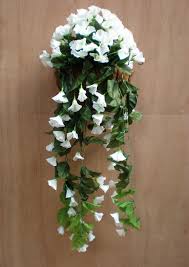 Maybe you would like to learn more about one of these? 1stem Morning Glory Hanging Flower Artificial Silk Flower Trailing Plants Imitaion Plants White Flowering Plants Fruit Flower Seeds Plantingplants With Green Flowers Aliexpress