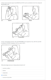 As a reference implementation for how to do this, i've created the bricelam\efcore.pluralizer repo. Solved Question 2 1 Pts A Person Who Can Sign Asl And Read Or Speak English Is Bilingual O True O False D Question 3 1 Pts Since Many Signs In A Course Hero