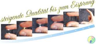 Also, wenn man einen tag vor dem eisprung sex hat, sind die y spermien schon im eileiter und warten auf das ovum, wärend. Eisprung Erkennen Die Haufigsten Fragen