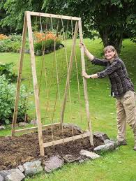 Build Folding A Shaped Bean Frame Instructions Allotment Gardens Allotment Gardening Vegetable Garden Design Cucumber Trellis